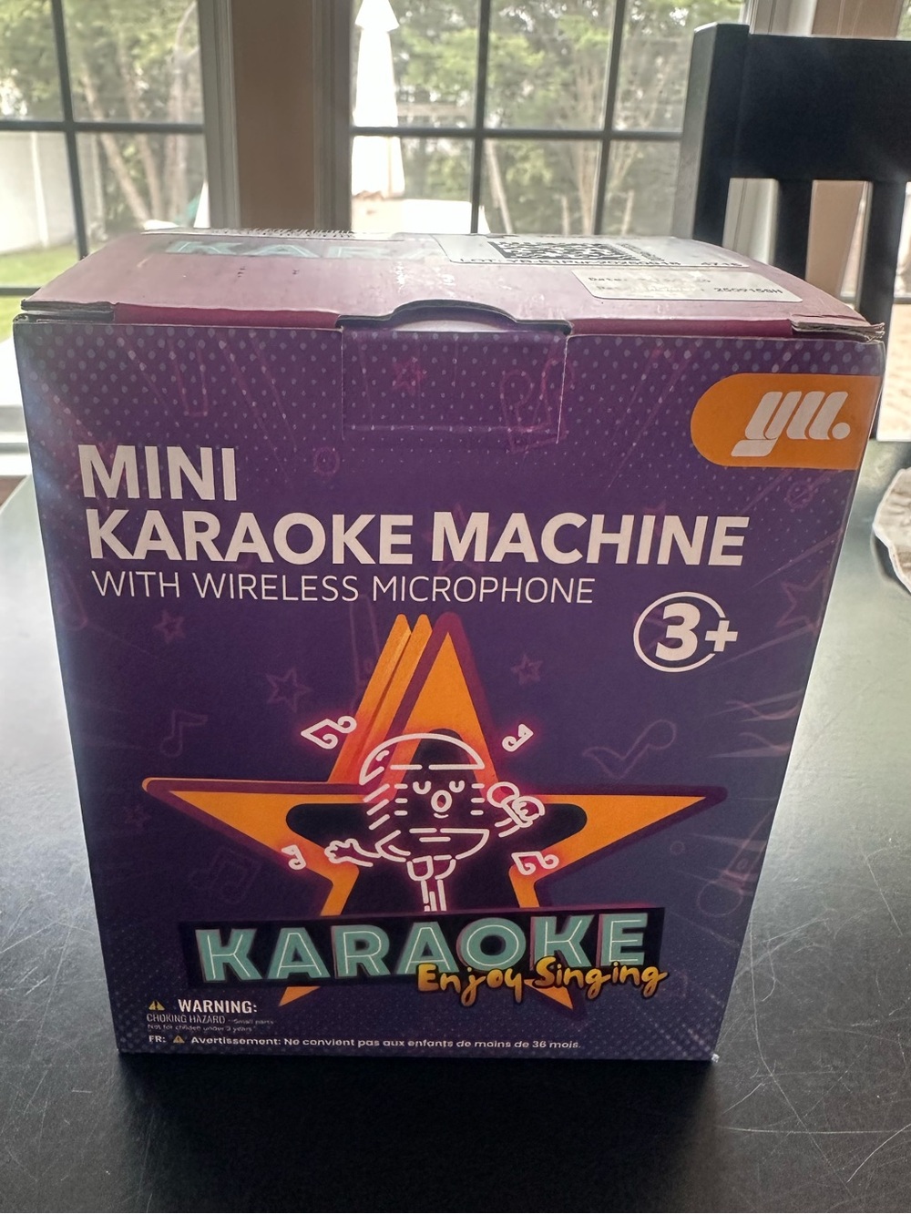 YLL Portable Karaoke Machine in Purple With Wireless Microphone
